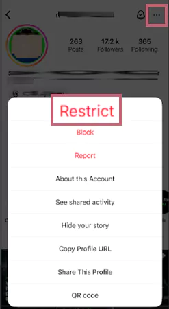 Restrict User on Instagram