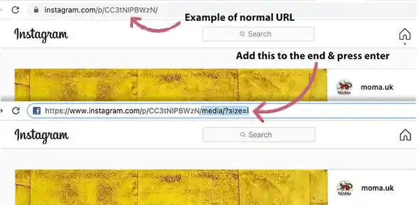 Type the given command at the end of the URL.