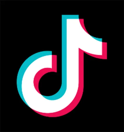 The TikTok Logo