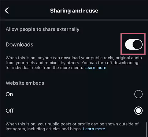 Ensure that the Toggle is turned on for the Downloads option