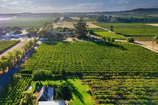 Barossa Valley