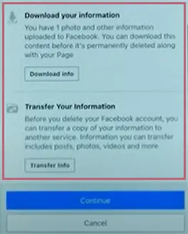 Download or Transfer your information