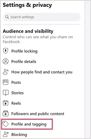 On the side panel scroll down to Audience and Visibility and select Profile and Tagging